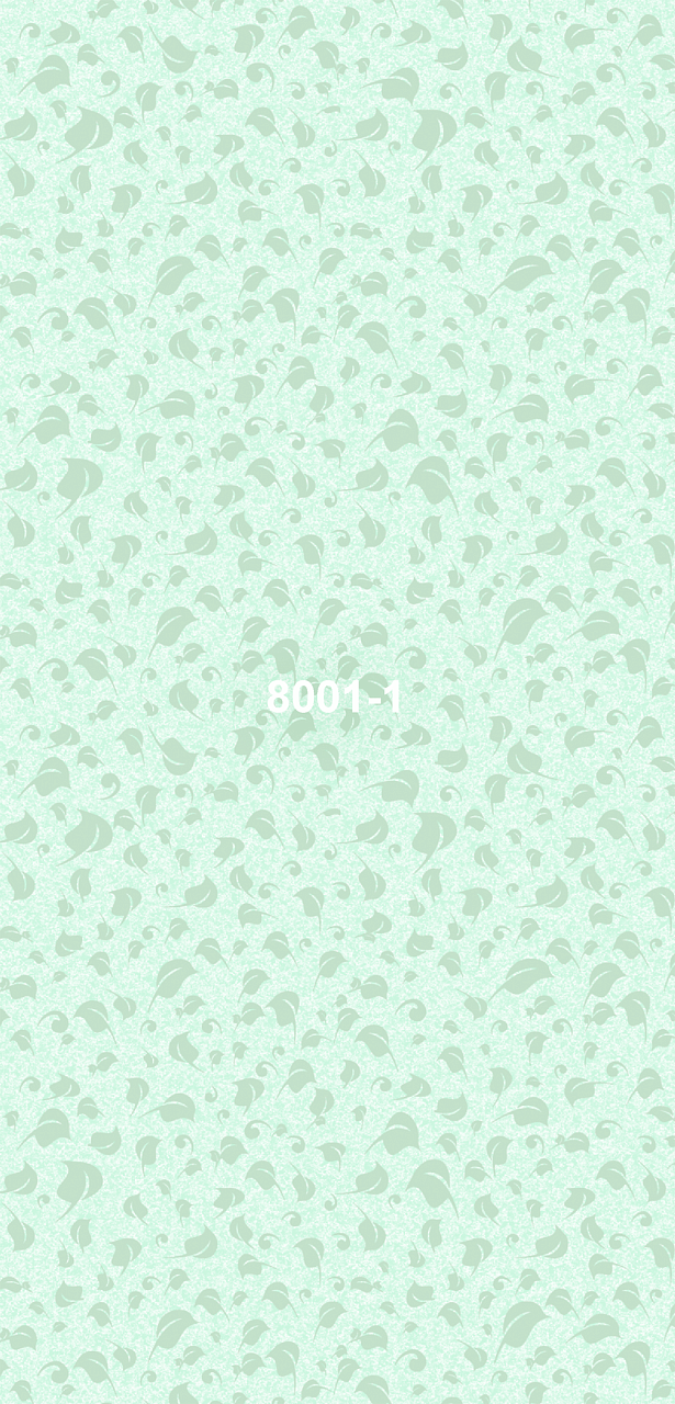 8001-1