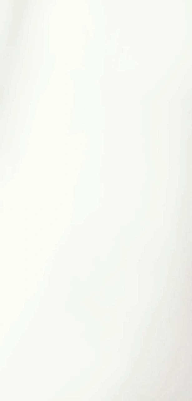 24068СТ-МП Шелк