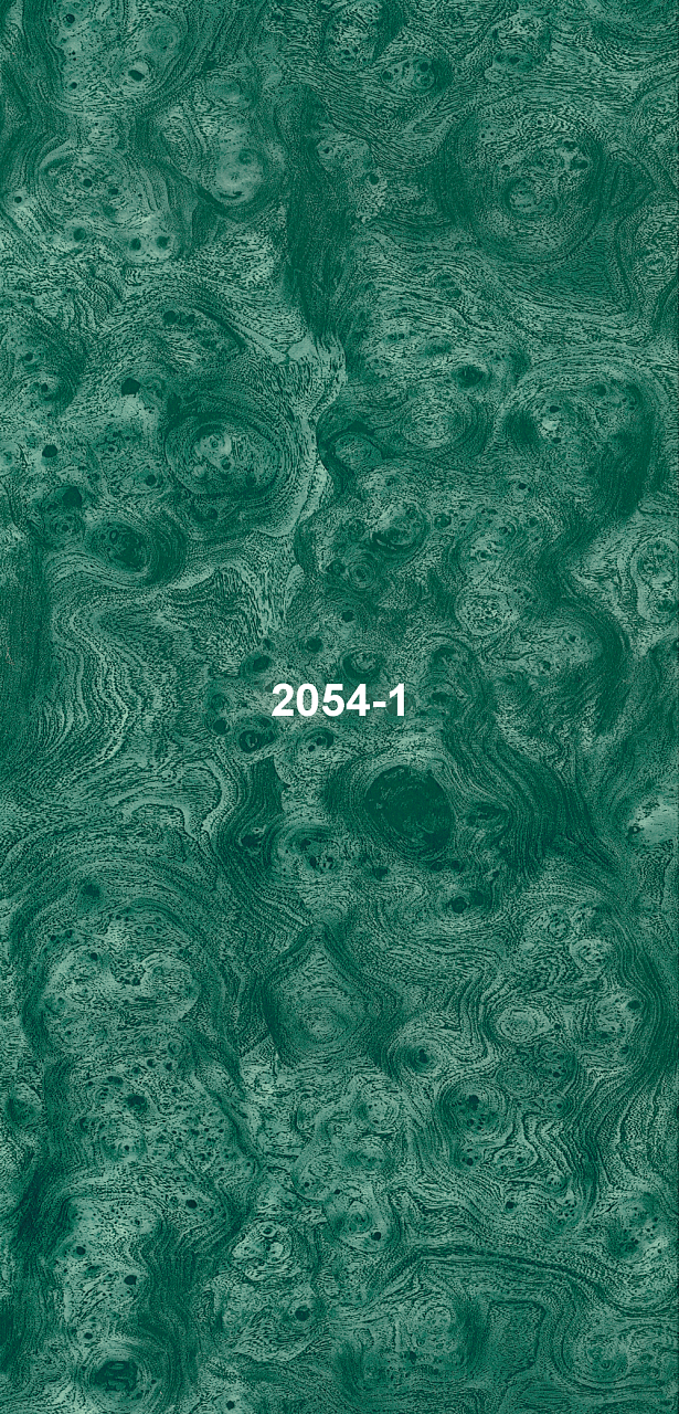 2054-1