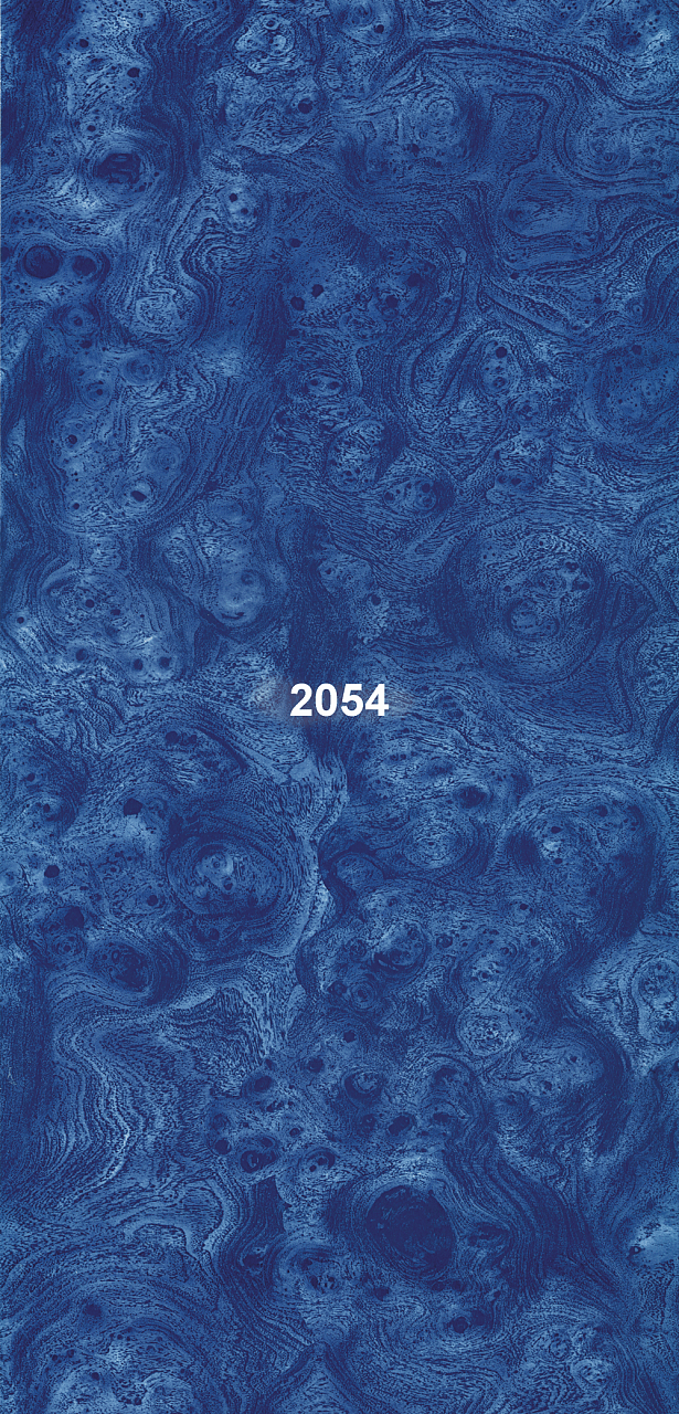 2054