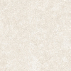 25071