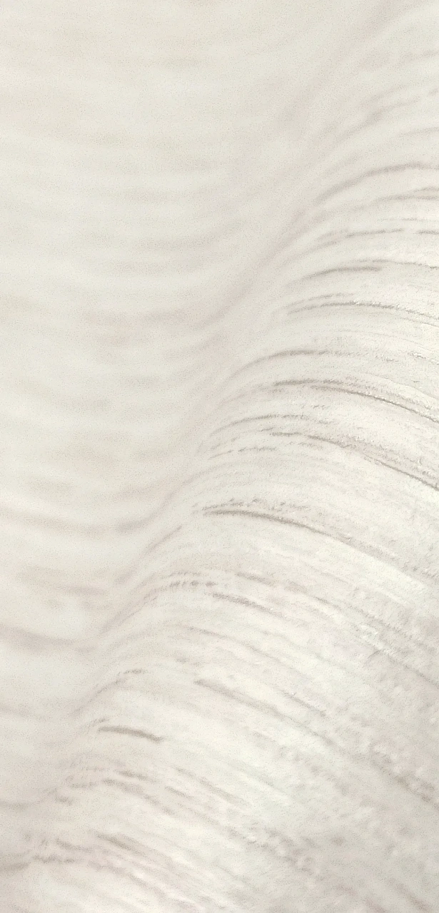 20065АМ-54 Лиственница белая