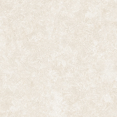 25071